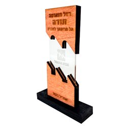 מגני הוקרה מעץ ופרספקט